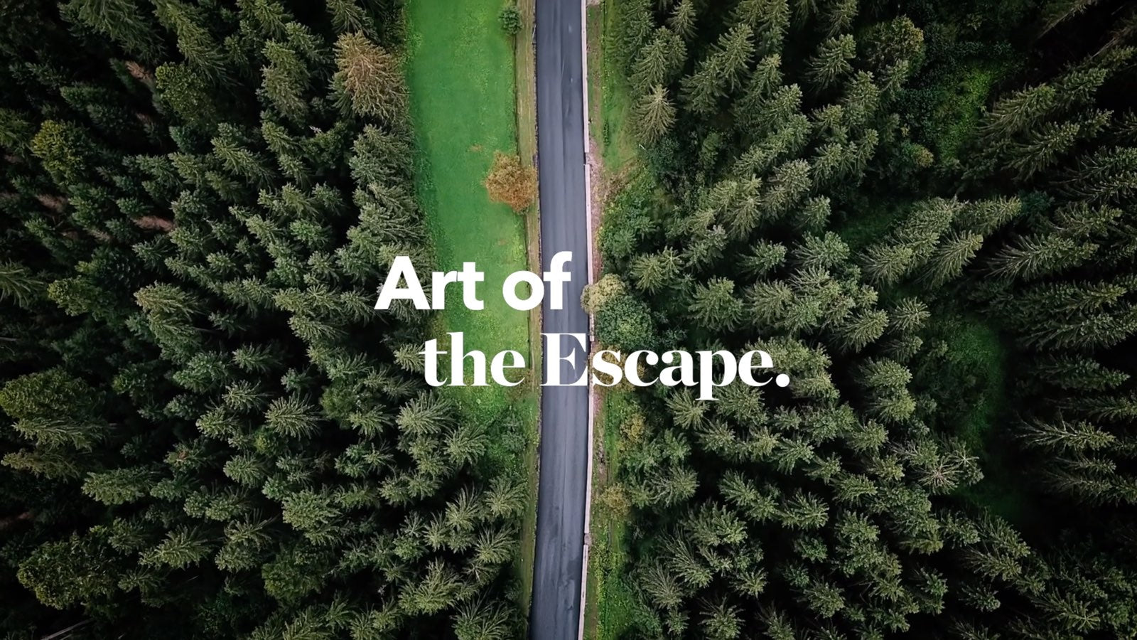 Introducing the Art of the Escape.